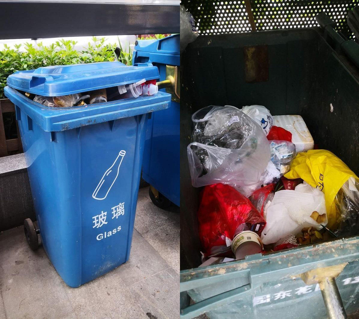 深圳垃圾分类10月9日正式开罚！你的小区准备好了吗？